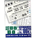 オーム電機 ラミネートフィルム100ミクロン 診察券サイズ 100枚 LAM-FS1003 00-5392