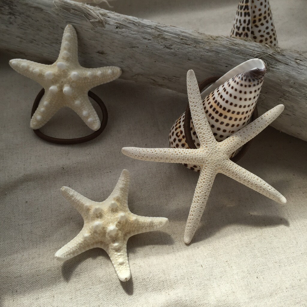 再入荷 リアル ヒトデ スターフィッシュ シェル ヘアゴム 親子 お揃い コーデ ペアルック ヘッド アクセサリー 髪飾り キッズ 子供用 貝殻 ギフト プレゼ...