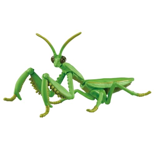 -/-/AL-32・(C) TOMY・電池は使用しません。商品紹介 アニア ALシリーズに「オオカマキリ」が登場 オオカマキリは頭、腹部、かまが動きます。 ・「アニア」は、動かして遊べる手のひらサイズの動物フィギュアシリーズです。 ・「動物の特徴や種類を知りたい」という子どもの知的好奇心を刺激する立体動物図鑑として楽しめる商品です。 ・動かして遊べる可動アクション、リアルな造形や塗装、遊びやすい手のひらサイズなどが魅力です。 セット内容フィギュア(1) 図鑑カード(日本語)(1) 図鑑カード(英語)(1) 安全警告 該当なし