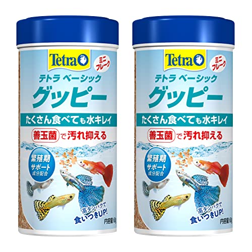 Tetra テトラベーシックグッピー60g 2本セット