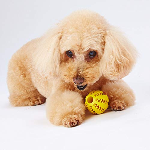 ペティオ (Petio)犬用おもちゃTREATS LOVER ボール S