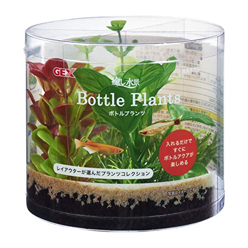 ・アヌビアス ・・PatternName:単品・本体サイズ (幅X奥行X高さ) :10×10×8.9cm・本体重量:0.034kg・原産国:中華人民共和国説明 商品紹介 小型水槽に入れるだけですぐにボトルアクアが楽しめる ●レイアウターが選んだプランツコレクション。 ●ボトルアクアリウムに最適なプランツセット。 ●グラスアクアリウムシリーズに最適。 ●中身が見えるおしゃれな透明パッケージ (ご使用方法)●;ご使用の前に、軽く水洗いしてください。●フィルターの種類によっては、水流で浮いたり動く恐れがありますので、気になる場合は土台を底砂等に埋めてご使用ください。 手作り品のため、サイズ・色・形状にばらつきがあります。ご了承ください。タワシなどで強くこすったり、長時間使用していると色落ちすることがありますが、生体に影響はございません。 使用上の注意 ●本製品は観賞魚飼育専用です。他の目的には使用しないでください。●子供、認知症の方の手の触れないところに保管してください。●子供にセットさせる場合は、大人の監視のもとで行ってください。●セット時、魚の出し入れ、点検、掃除など水中に手を入れる時は、必ず水槽で使用している電気製品すべての差し込みプラグを抜いてください。●本製品のお手入れの際は、スポンジや柔らかい布等で優しく汚れを拭き取ってください。洗剤や石鹸、アルコール、シンナー等の有機溶剤は使用しないでください。●茎や葉の部分をむやみに引っ張ると抜けますので、取扱いは丁寧に行ってください。●手作り品のため、サイズ・色・形状にばらつきがあります。ご了承ください。●タワシなどで強くこすったり、長時間使用していると色落ちすることがありますが、生体に影響はございません。 原材料・成分 ポリレジン、PE 使用方法 ●ご使用の前に、軽く水洗いしてください。●フィルターの種類によっては、水流で浮いたり動く恐れがありますので、気になる場合は土台を底砂等に埋めてご使用ください。 ご注意（免責）必ずお読みください 製品の仕様、デザイン、価格等予告なく変更することがあります。