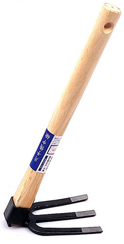 ܥ(Kinboshi)  Ҽ淭 10߱39.5߹⤵14.7cm 1434