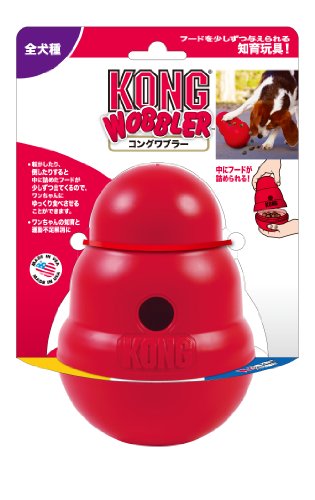 Kong() 󥰥֥顼