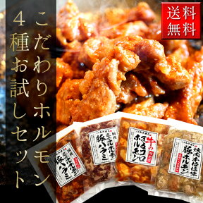 送料無料 こだわり ホルモン 4種 お試し セット オンライン飲み おつまみ 肉 焼肉 ギフト 【厳選されたホルモン4種入り 普段の食事や、お酒のつまみとして】 熨斗可 誕生日 内祝い BBQ 簡易包装 送料無料 ※中国・四国・九州地方は別途500円送料が加算されます