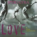 Spyro Gyra(スパイロ・ジャイラ)「ラヴ・アンド・アザー・オブセッションズ(Love & Other Obsessions)」　CD-R
