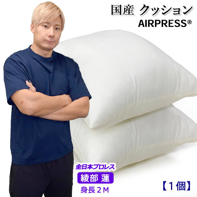 Rakuten - 日本製 クッション 45×45cm ヌードクッション 中空綿 シリコン綿 洗える 復元綿 手作り 抗菌 防臭 防カビ 洗える 防ダニ 増量 丸洗いOK 国産 【1枚物】 AIR PRESS&reg;