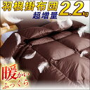 暖かい 羽根布団 3480円 掛け布団【品質保証・羽根掛け布...