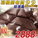 暖かい 羽根布団 2888円 掛け布団【品質保証・羽根掛け布団】厳選・スモールフェザー 超増量2.2kg 掛け布団 シングル S 布団セット 掛布団 枕 通気性抜群 業務用 ホテル仕様 プレゼント【OP・布団カバー】