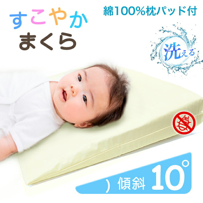 ꤬ۤФˤ̲߰Ρڿ䤹/̲Ρڤդդۣxcm/ߣcmSS10P03mar13RCPۡa_bۡڥ١å̡۹ʹľޤޥ