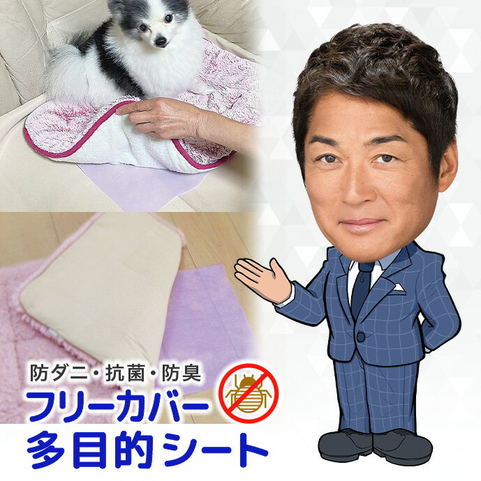 樂天商城 - ダニWストップ 日本製 防ダニ 抗菌 防臭 94%が推奨！【10枚・多目的シート 約30×42cm】 殺虫成分不使用 無香料 虫よけ ペット 洋服 家具 寝具 布団 マット 枕 日用消耗品 虫除け メール便対応 国産