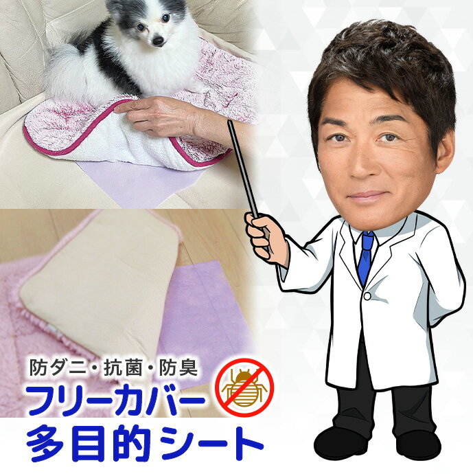 樂天商城 - ダニWストップ 日本製 防ダニ 抗菌 防臭 94%が推奨！ ペット用品【10枚・多目的シート 約30×42cm】ハウスダスト対策 殺虫成分不使用 無香料 虫よけ お子様 洋服 家具 寝具 防虫 ノミ ダニ対策用品 防虫 虫除け 用品メール便 国産