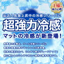 冷感 クッション 日本製 高反発 45×45cm 冷感 クール 極厚 涼感 ひんやり エアープレス 軽量 高反発 固反発 厚さ約8cm AIR PRESS 寝返り上手 (がわ45×45 本体 40×40cm) 王様のクッション 3