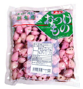 【送料無料】★まとめ買い★ アサダ しそスタミナ漬 500g ×10個【イージャパンモール】