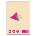 【送料無料】【個人宅届け不可】【法人(会社・企業)様限定】Color Paper A4 中厚口 アイボリー 1冊(100枚)