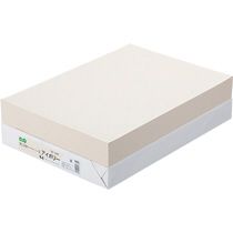 【送料無料】【個人宅届け不可】【法人（会社・企業）様限定】αエコカラーペーパーII　B4　アイボリー　1冊(500枚)