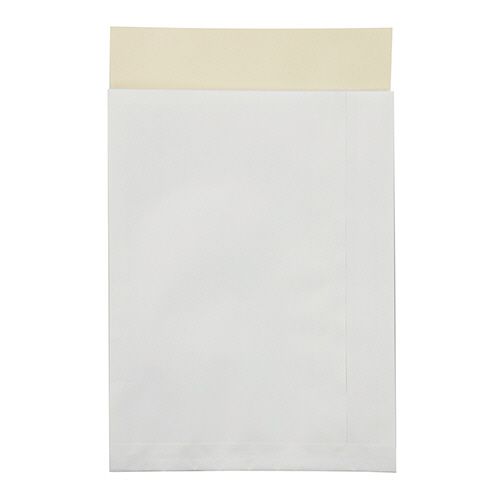 【送料無料】【個人宅届け不可】【法人（会社・企業）様限定】ポストイン定形外封筒　100g/m2　片艶晒　1ケース(100枚)