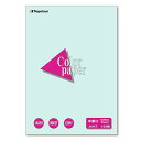 【送料無料】【個人宅届け不可】【法人(会社・企業)様限定】Color Paper A4 中厚口 水 1冊(100枚)