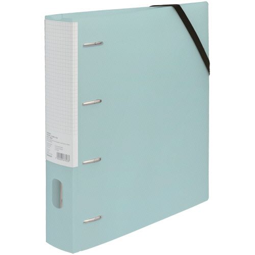 【送料無料】【個人宅届け不可】【法人（会社・企業）様限定】どっさり個別Dリングファイル　A4ワイド..