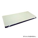 【マラソン限定P2倍】ドリームエアーパッド110 幅約91cm DAP100-91R オーシン 介護 寝具 パッド 介護用品