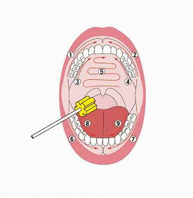 �ޥ����ԥ奢 ���Х������ݥ� �ץ饹���å��� 50���� S��M��L ���ܻ��� �������