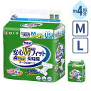 【マラソン限定P2倍】大人用紙おむつ テープタイプ 約4回分吸収 サルバ 安心Wフィット 長時間 テープ止めタイプ M:10枚 L:9枚 白十字 高齢者 老人 介護 男女共用 紙おむつ ダブルフィット 寝たままの方に 介護用品