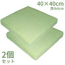 【マラソン限定P2倍】クッション 2個セット 低反発 40×40×6cm 2層クッション 夢ごこち 標準 ウェルファン リバーシブル 体圧分散 車いす用クッショ...
