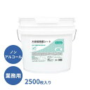 【スーパーSALE限定P2倍】除菌シート ノンアルコール 業務用 大容量 BZ-2500 2500枚入 ダイト ウェットティッシュ ウエットティッシュ 介護用品 介護施設