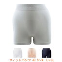 【マラソン限定P2倍】フィットパンツ 40 S~M L~LL 松本ナース産業 (男女兼用 パッド 失禁) 介護用品