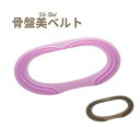 【マラソン限定P2倍】骨盤美ベルト Vi-Bel(ビーベル)タナック 骨盤ベルト サポーター 腰ベルト コルセット 介護用品 腰痛ベルト 腰痛 女性 薄型 高齢者 ぎっくり腰 スポーツ 骨盤矯正 農業 介護士 介護 介護職