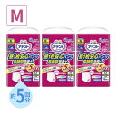 【マラソン限定P2倍】【おまけつき】(1ケース) アテント 昼1枚安心パンツ長時間快適プラス 女性用 M 773896 1ケース(16枚×3袋) 大王製紙 (介護 おむつ 紙パンツ) 介護用品