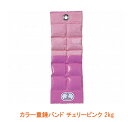 カラー重錘バンド チェリーピンク 2kg SPR-592F 酒井医療 介護用品