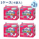 【マラソン限定P2倍】1ケース (4袋) 尿取りパッド 約2回分 サルバ 尿とりパッドスーパー 女性用 45枚入 白十字 尿ケア おむつ パッド 大人用おむつ パッドタイプ 介護用品