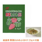 介護食 給食用 野菜わかめ ふりかけ 1222 2.5g×40食 ニチフリ食品工業 (栄養強化ふりかけ ふりかけ 小袋 食品) 介護用品