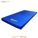 (代引き不可)ブレイラ プレミアムケアマットレス用カバー レギュラー 幅91cm用 910R用 ボディドクターメディカルケア 介護用品