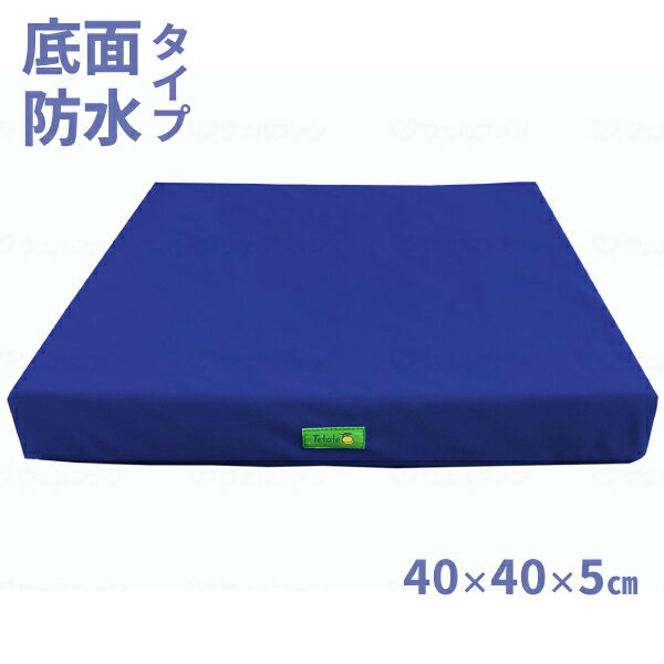 車椅子 クッション 【ファンディーナ(旧：日本ジェル) ピタ・シートクッションW55 PTW55】 車椅子 車いす 車椅子 くるまいす 関連 福祉用具 オプション品 送料無料