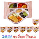 介護食(代引き不可・1ケース)冷凍おかず SGセットプラス 1箱1種9袋入 日東ベスト (冷凍食 区分3 舌でつぶせる 冷凍 おかず ムース食 なめらか食 ペー...