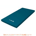 (代引き不可) アルファプラすくっとRe 防水フィルムカバータイプ TS-SKT-ReW3S 83cm幅ショート タイカ (ウレタンフォーム マットレス 介護ベッド 体圧分散 床ずれ予防 防水) 介護用品