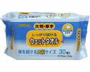 ウェットタオル大判厚手 KN-102　30枚入 ストリックスデザイン カナッペ事業部 (汗拭きシート ボディ用 使い捨て) 介護用品