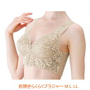 前開きらくらくブラジャー DN-0275　M L LL ドンナ (介護 前 開き 服 肌着 婦人用) 介護用品