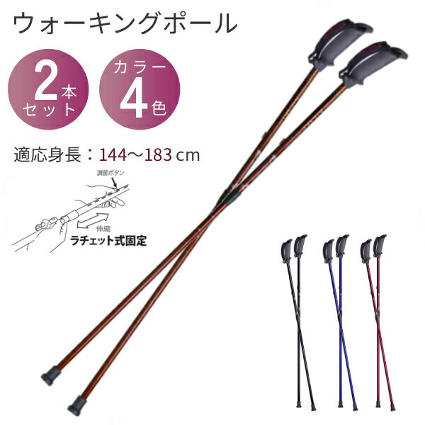 【マラソン限定P2倍】杖 安定歩行 ラチェット固定 ウォーキングポール 歩ミングポール 2本1組 APBE-205A 適用身長：約144〜183cm キザキ 介護用品 ノルディックポール 高齢者 杖 高齢者杖 ノルディック杖 ウォーキングポール sgマーク