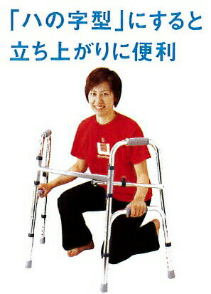 �ڥ����ѡ�SALE����P2�ܡۥ������ȥ��� �����եƥ��������� ���꼰 SAR-C (�ޤꤿ���߼� ��Է��� Ω���夬�����) �������