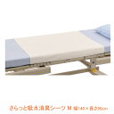 【マラソン限定P2倍】さらっと 吸水 消臭 シーツ 11119 M 幅140×長さ90cm ピジョンタヒラ (ベッド シーツ) 介護用品