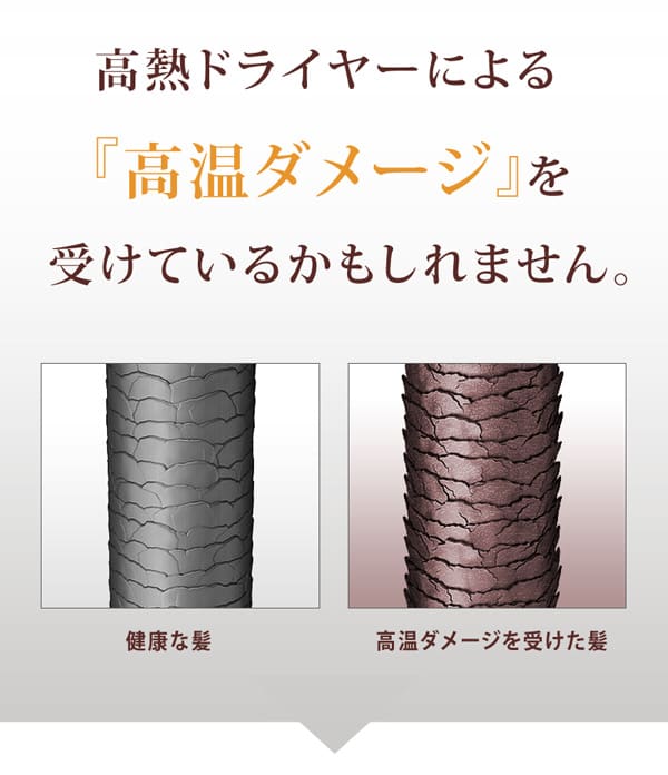 最新情報 ヒートケア６０低温ドライヤー 髪にやさしい60 ドライヤー 低温マイナスイオンヘアドライヤー パールホワイト 60度