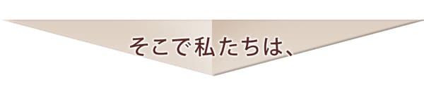 最新情報 ヒートケア６０低温ドライヤー 髪にやさしい60 ドライヤー 低温マイナスイオンヘアドライヤー パールホワイト 60度
