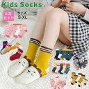 キッズ ソックス 子供 靴下 5足セット クルーソックス ショートソックス 綿 かわいい おしゃれ ベビー 靴下 キッズ キッズソックス 女の子 保育園 幼稚園...