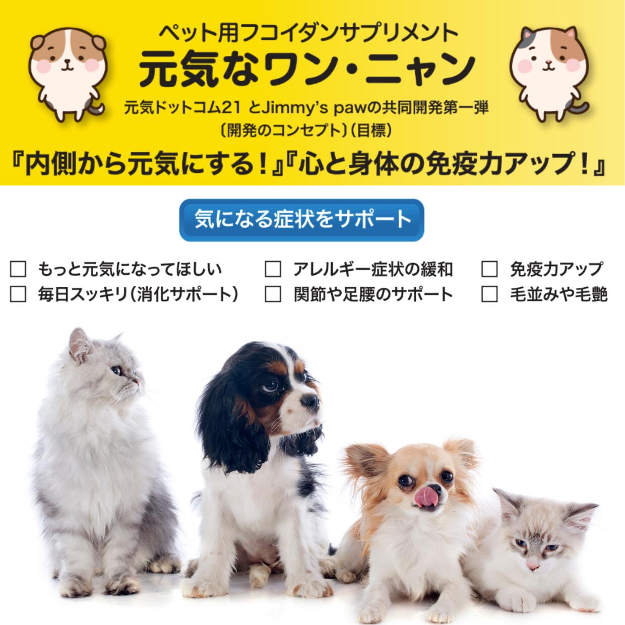 【初回10%off】【送料無料】元気なワン・ニャン　ペット用サプリメント　スプーン付　犬　猫　フード　フコイダン　サプリメント　1日0.5g　胃腸　心身　皮膚　関節　骨　長生き　元気　餌にかける　美味しい　ふりかけ　サプリメント