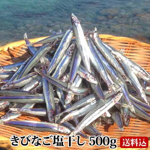 【送料無料】 ギフト 甑島のきびなご塩干し 500g 鹿児島産 国産 こしき島 こしきしま 塩干 天日干し 干物 おつまみ キビナゴ 冷凍 ギフト 贈答 上甑島 漁師の約束 贈り物 お土産