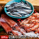 【送料無料】 ギフト 甑島のお刺身セット(えび・いか・きびなご詰め合わせ) 海鮮セット 鹿児島産 たかえび タカエビ 薩摩甘えび 赤いか キビナゴ 贈り物 お土...