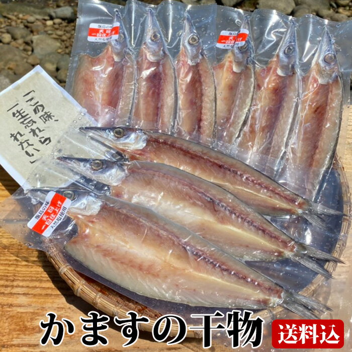 【送料無料】 ギフト かますの干物 (3～4尾入り) ×3袋 天日干し 塩干 塩干し 国産 鹿児島産 おつまみ カマス 贈り物 お土産 中元 お中..